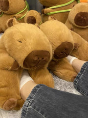 Bear Cotton Slippers Plush Slippers Kappibara Slippers Cartoon Capybara Cotton Slippers - Trending Tina