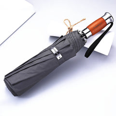 Fully automatic business umbrella - Trending Tina