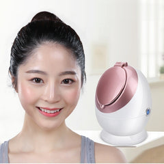 Nano Ionic Facial Steamer - Trending Tina