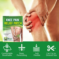 Argy Wormwood Knee Plaster Self-heating Analgesic Skin care lotion Exercise Fitness Joint Care - Trending Tina