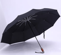 Fully automatic business umbrella - Trending Tina