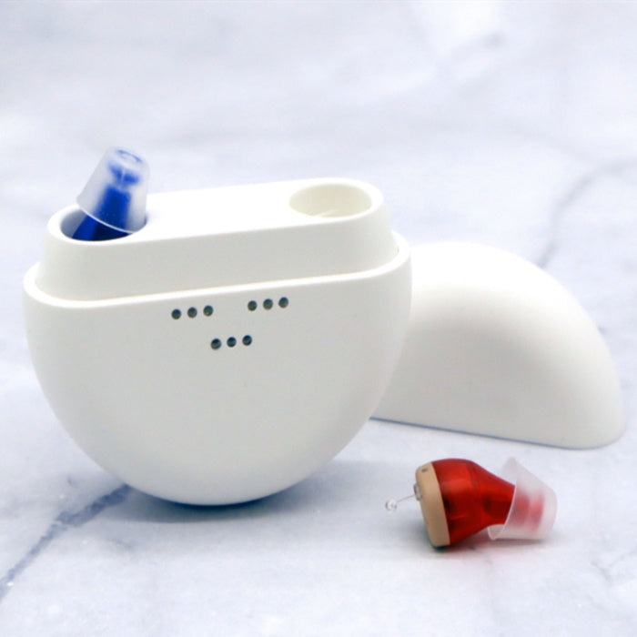 K419 Hearing Aid