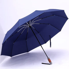 Fully automatic business umbrella - Trending Tina